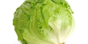 Fresh Iceberg Lettuce