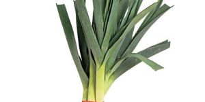 Fresh Leek