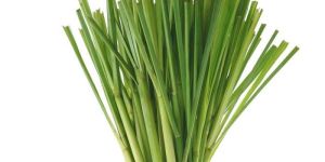 Fresh Lemongrass