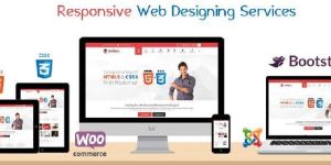 Responsive Web Designing Service