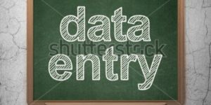 Data Entry Work