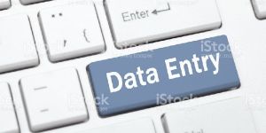 International Data Entry Work