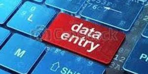 Non Voice Great Data Entry Form Filling Projects