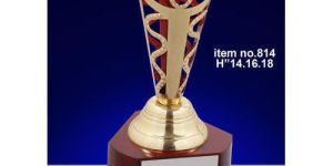 School Sports Trophy