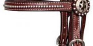 Horse Western Bridles