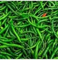 Fresh Green Chilli