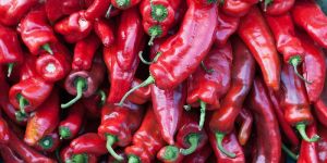Fresh Red Chilli