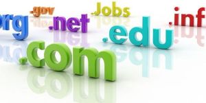 Domain Reseller Services