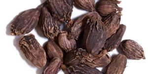 Black Cardamom