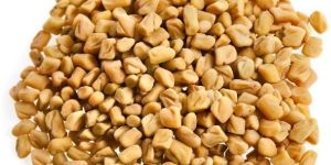 Fenugreek Seeds