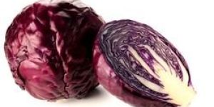 Red Cabbage