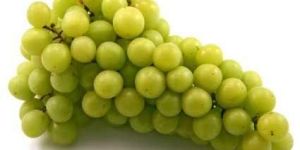Fresh Grapes