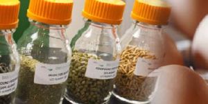 Multi-100 Poultry chemicals