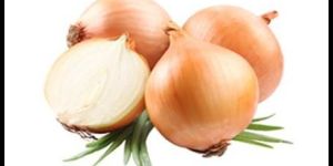 Fresh Onion