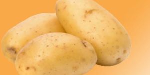 Fresh Potato