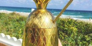 Pineapple Cocktail Tumbler