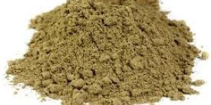 Tulasi Powder