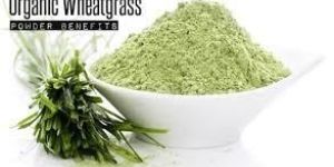 Wheat Grass Powder