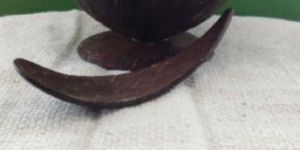 Coconut Shell Ice Cups