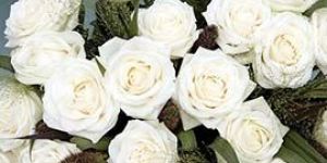 White Rose Flowers