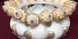 Shell Handicrafts
