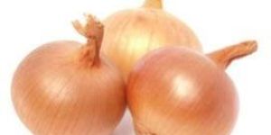 Fresh Red Onion