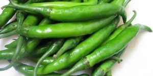 Spicy Green Chilli