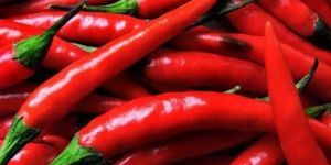 Hot Red Chilli