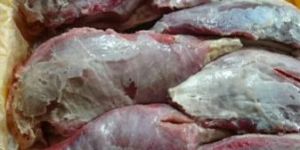 Frozen Boneless Buffalo Kasila