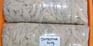 Frozen Buffalo Offals Intestine