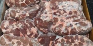 Frozen Buffalo Offals Kidney