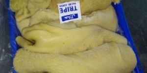 Frozen Buffalo Offals Tripe