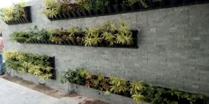 Green Walls