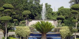 Landscape Execution Services