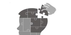 Education Career Development - Silver