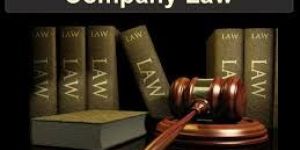 Company Law Matters Functions