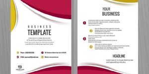 Brochures Designing Services
