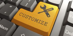 Customize Software Development