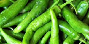 Fresh Green Chilli