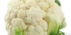 Fresh Cauliflower
