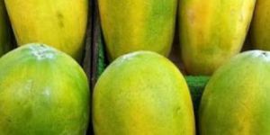 Fresh Papaya