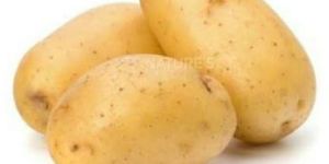 Fresh Potato