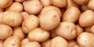 Red Potato Supplier in India