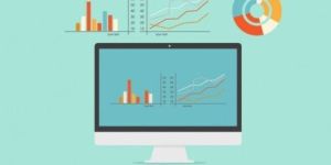 Survey Processing Services