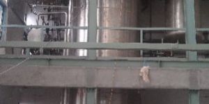 BioFMXL in Situ Sterilizable Fermenter And Bioreactor