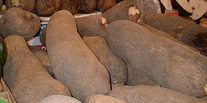 African Yam