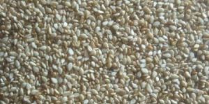 White Sesame Seeds