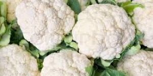 Fresh Cauliflower