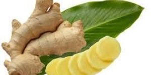 Fresh Ginger
