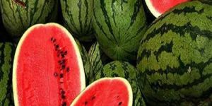 Fresh Watermelon